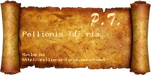 Pellionis Tíria névjegykártya